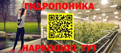 индика Лесосибирск