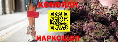 индика Лесосибирск