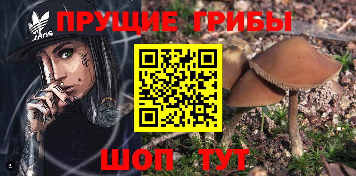 Галлюциногенные грибы GOLDEN TEACHER Кинешма
