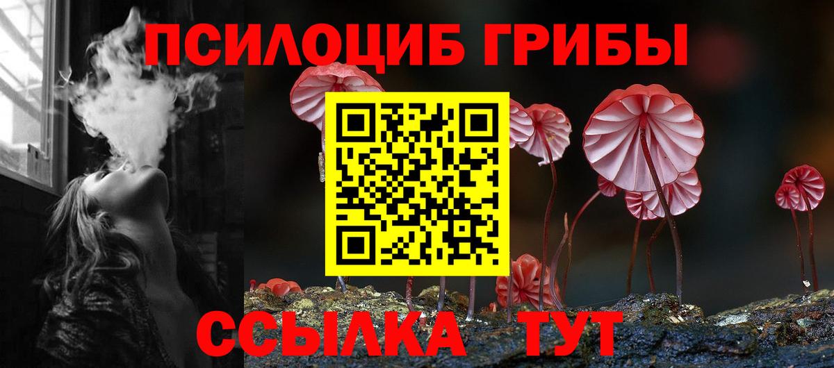 Галлюциногенные грибы Psilocybine cubensis  Вход с VPN  что такое наркотик  Кинешма 