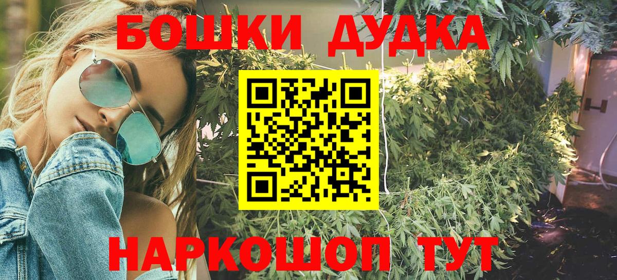Бошки Шишки планчик Кинешма